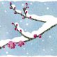相原健二12