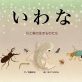 アサリマユミ6